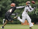 Cincinnati Bengals wide receiver Chad Ochocinco (85)