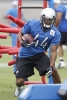 Detroit Lions running back Jahvid Best (44)