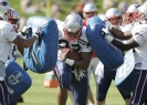 New England Patriots tight end Alge Crumpler